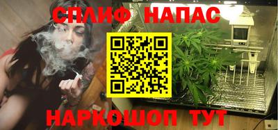 ешки Будённовск