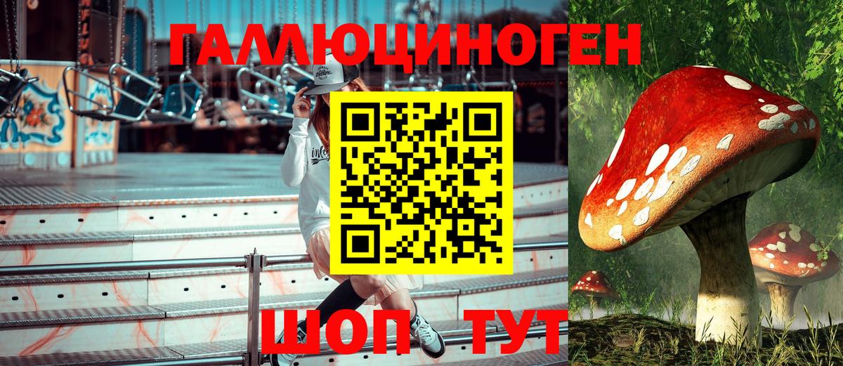 Псилоцибиновые грибы мухоморы Луга