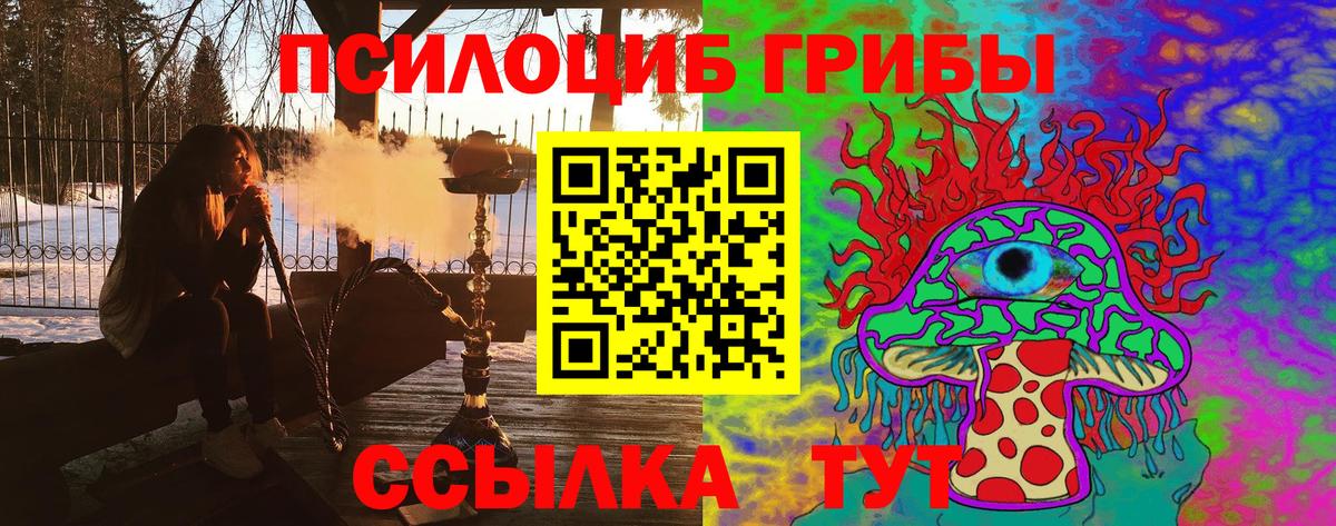 Псилоцибиновые грибы GOLDEN TEACHER  Вход с VPN  Луга 
